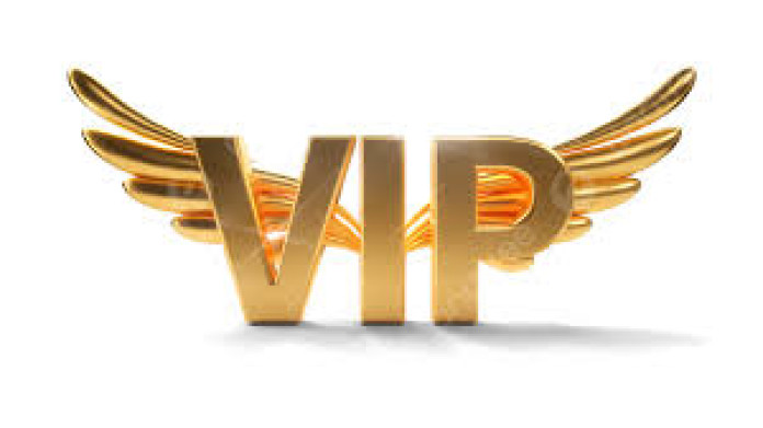 24 hours/365 days customer VIP support a...